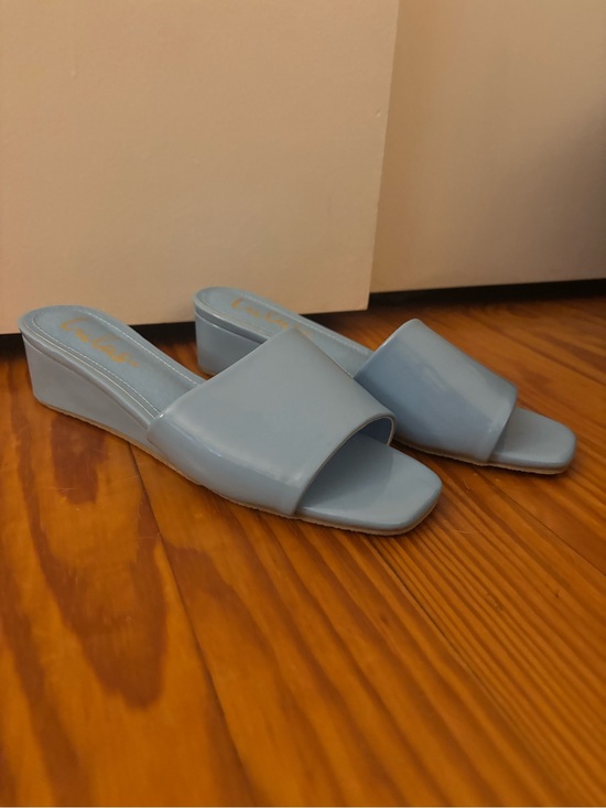 Lulus Shoes - Lulu's Powder Blue Patent Wedge Slide Mules